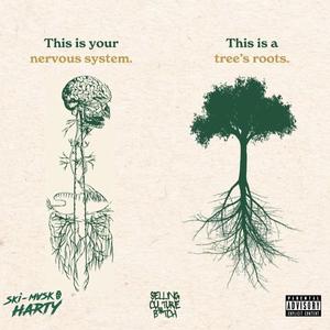NERVS VS ROOTS