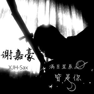 满目星辰皆是你