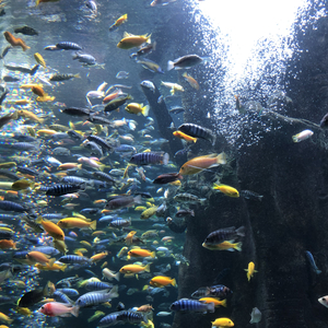 岁岁年年都是你