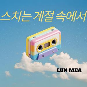 스치는 계절 속에서