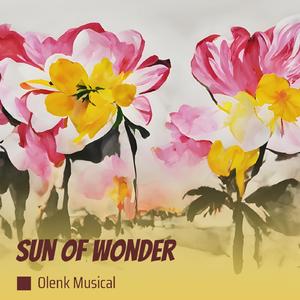 Sun of wonder