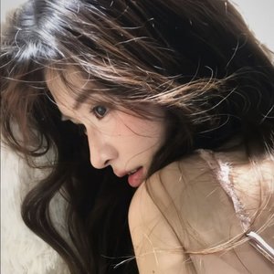 玫瑰不用长高 爱她的人自会为她弯腰