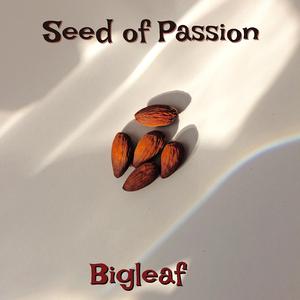Seed of Passion (Instrumental Version)