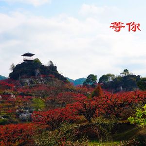 等你 伴奏