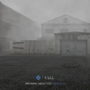 Dreaming about you (Original mix)