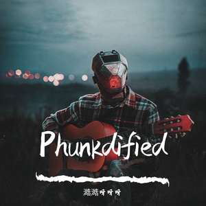 Phunkdified （翻自Luca Stricagnoli 版本）