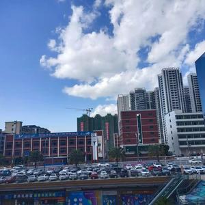 蝶翅扫过琴键痕