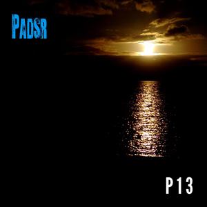 P13