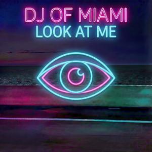 Look At Me (Miami Lights)