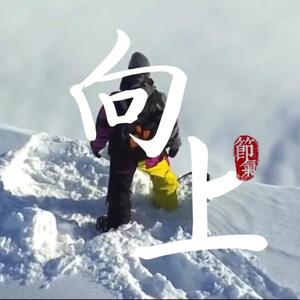 向上