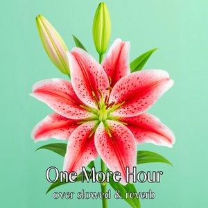 Gentle Rush