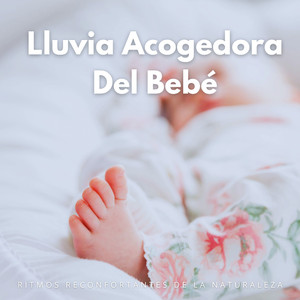 Acogedoras Nubes De Lluvia