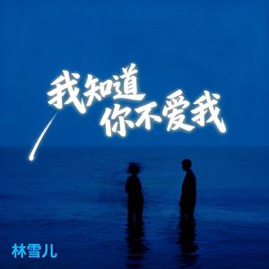 我知道你不爱我