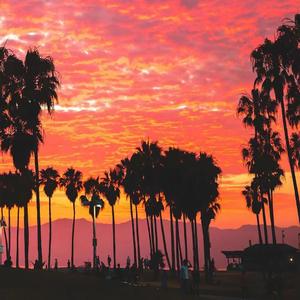 高林喜欢听飞曲