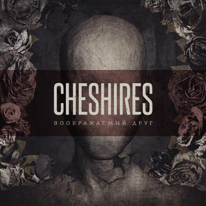 Пока Ты Рядом (Тим Талер)