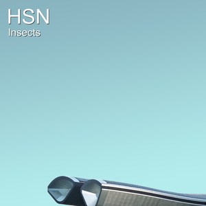 Hsn