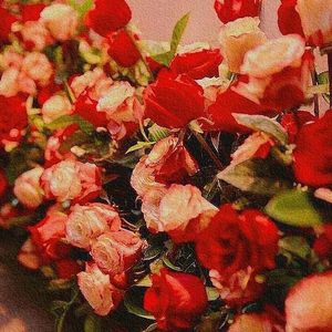 苏丽珂（格鲁吉亚语）