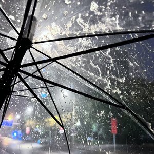 就让这个大雨爱全都落下