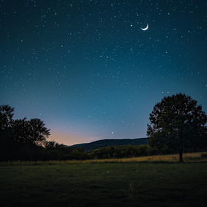 Pelusas De Almohadas A La Luz De La Luna