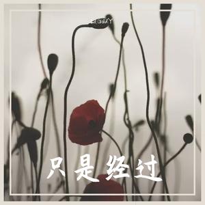 只是经过(Prod. by 百川)