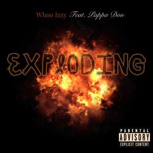 Exploding (feat. Pappa Don)