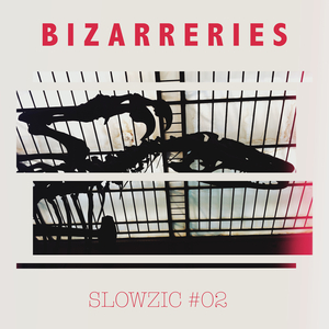 Dévotion Chirurgicale