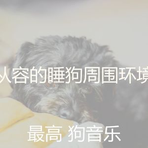 精彩狗环境