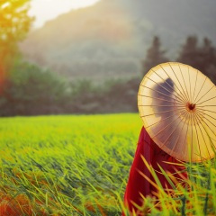 忘不了曾经的你