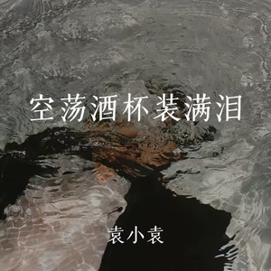 空荡酒杯装满泪