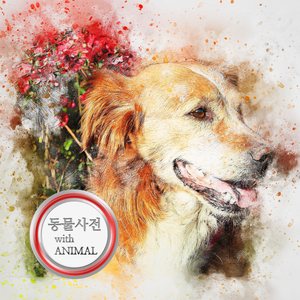 택배로 바쁜 루돌프의 크리스마스