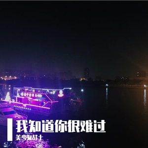 我知道你很难过