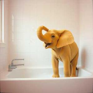 Lëwä - Слоник (1)