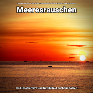 Meeresrauschen