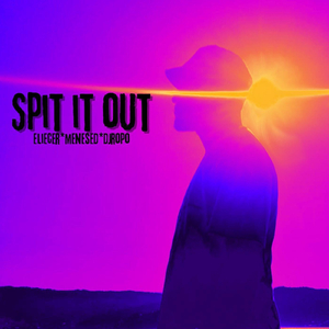 Spit It Out (feat. Menesed & DJ Ropo)