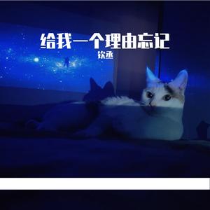 给我一个理由忘记