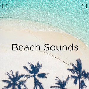 瞑想のための海の音