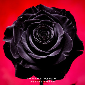 Любить любовь