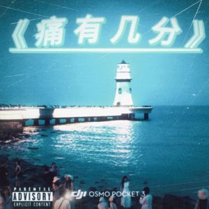 痛有几分.