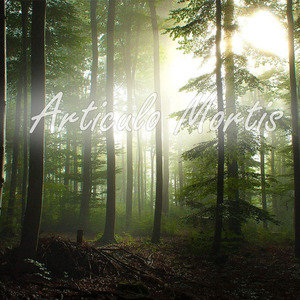Articulo Mortis