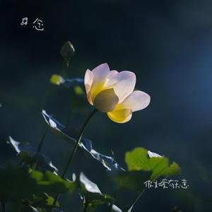 忧思