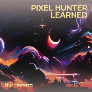 Pixel Hunter Learned