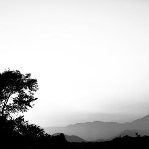 那个迷人又触不可及的人