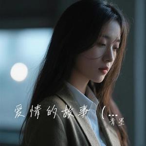 爱情的故事 (烟嗓版)(青墨 Remix)