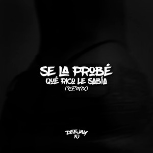 Se La Probé, Qué Rico Le Sabía (Remix)