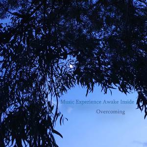 Overcoming