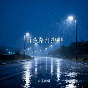 雨夜路灯排排
