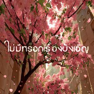 ไม่มีหรอกเรื่องบังเอิญ