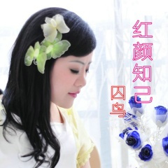 红颜知己封面