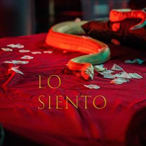 Lo Siento