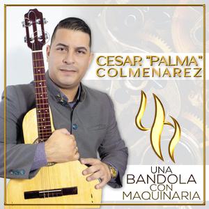 Pastoreando al Pajarillo